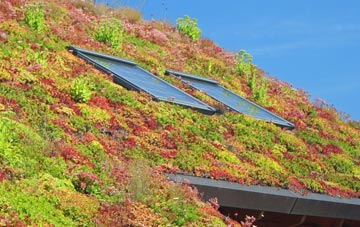 Littledown living roof systems