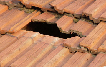 roof repair Littledown